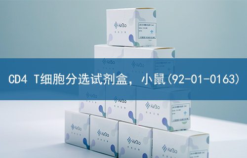 CD4 T细胞分选试剂盒，小鼠(92-01-0163)